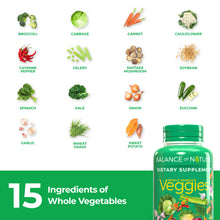 Balance of Nature Veggies - 15 Ingredients of Whole Vegetables