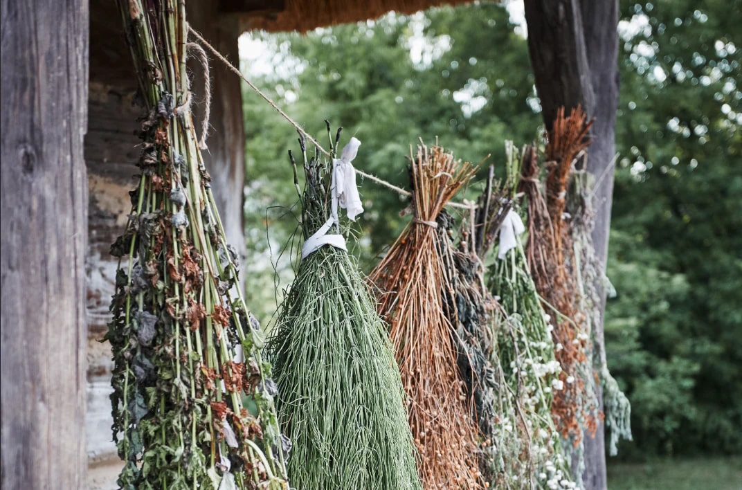 Can You Freeze Fresh Spices?