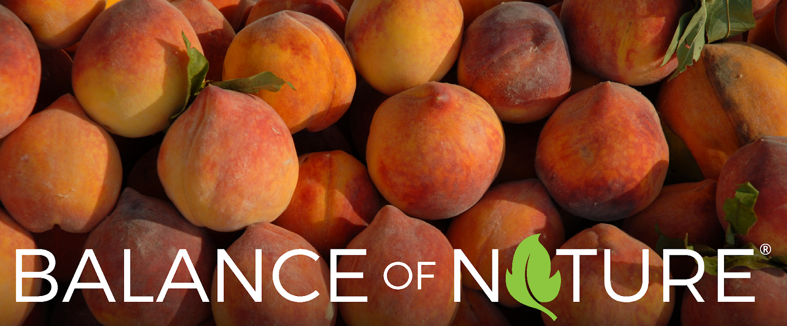 Balance of Nature Proudly Sponsors the 27th Annual Peach Days: A Celebration of Our Heritage