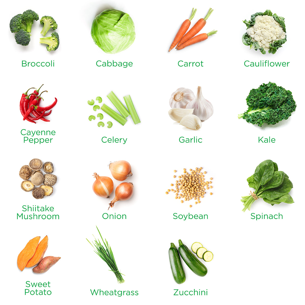 Balance_of_Nature_Veggies_Ingredients.jpg?v=1731357926\u0026width=1080